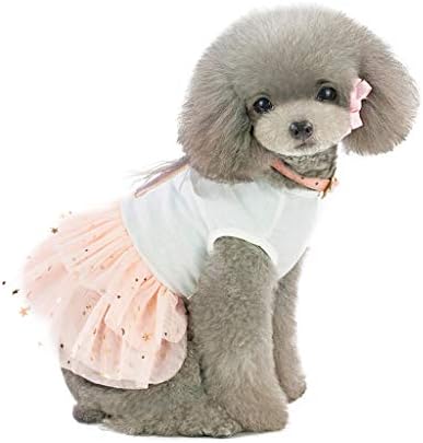 Uskršnje odijelo za pse čipke haljine za kućne ljubimce prozračna mačja zečja haljina Print Dog odjeća za kućnu ljubimcu