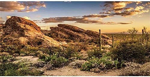 Awent Reptile Stanište Pozadina plave nebeske oaze Kaktus i pustinjska terarina pozadina 24x16 inča izdržljiva poliesterska pozadina