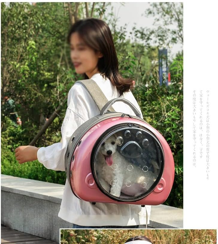 Cat Transparent Space Capsule pet out Bag prijenosni prozračni ruksak za mačke nosiljke za kućne ljubimce