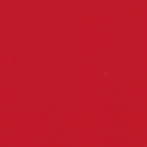Cherry Red Cardstock - 12 x 24 inča - poklopac 65LB - 25 listova - jasan palica