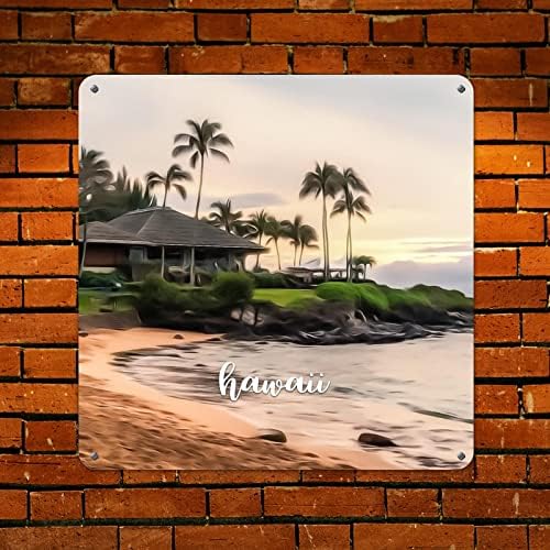 Woguangis Američka plaža Hawaii Metalni zidni znak SAD Država Hawaii Zidni ukras Plaques City Suvenir Poklon
