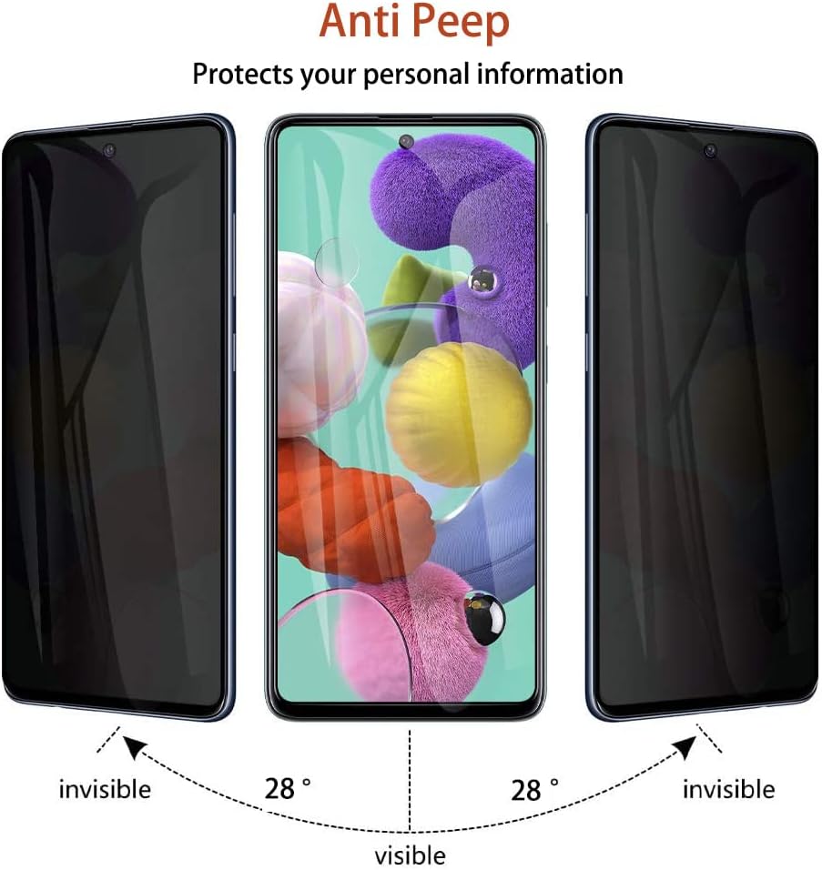 Retroid Pocket 2 Plus Screen Protector - Silk