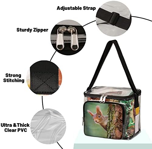 bisibuy Funny Squirrel Clear torba za ručak stadion odobren od PVC plastike pogledajte kroz kutiju za ručak