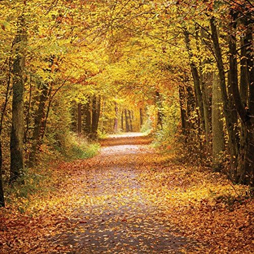 LYWYGG 10x10ft jesen fotografija pozadina žuti listovi ispunjeni drvećem jesen krajolik vinil jesen fotografija